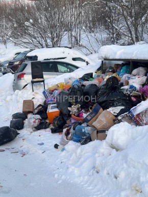 Петропавловск-Камчатский утопает в мусоре