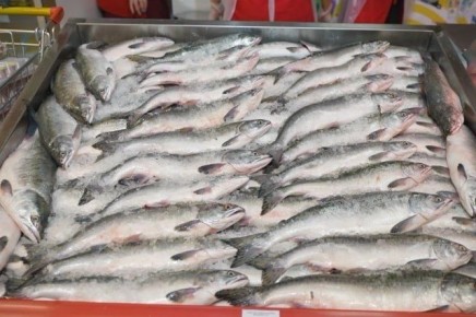 Итоги проекта «Рыба Камчатская» за 2025 год подвели в регионе