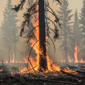 ������������� ����� 2025: ���������� ������ ������� �� ��������