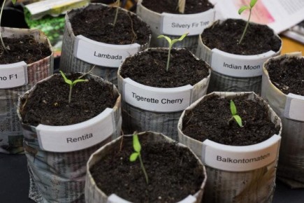 ����������� ���������� ��� �������: ��� ������� ������ ������ �� �����