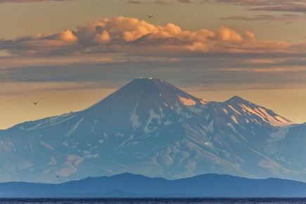 Около 30 единиц новой дорожной техники усилят снегоочистку столицы Камчатки