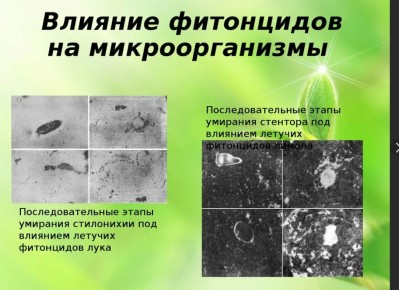 ��������� � ����� ��������: ��� ��������� �������� ����� �������� ������������