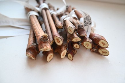 ��� ��������� ����������� ������� ��������� ������: ������� ���������� � ��������� �����