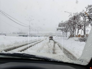 Циклон принесёт потепление и осадки на Камчатку