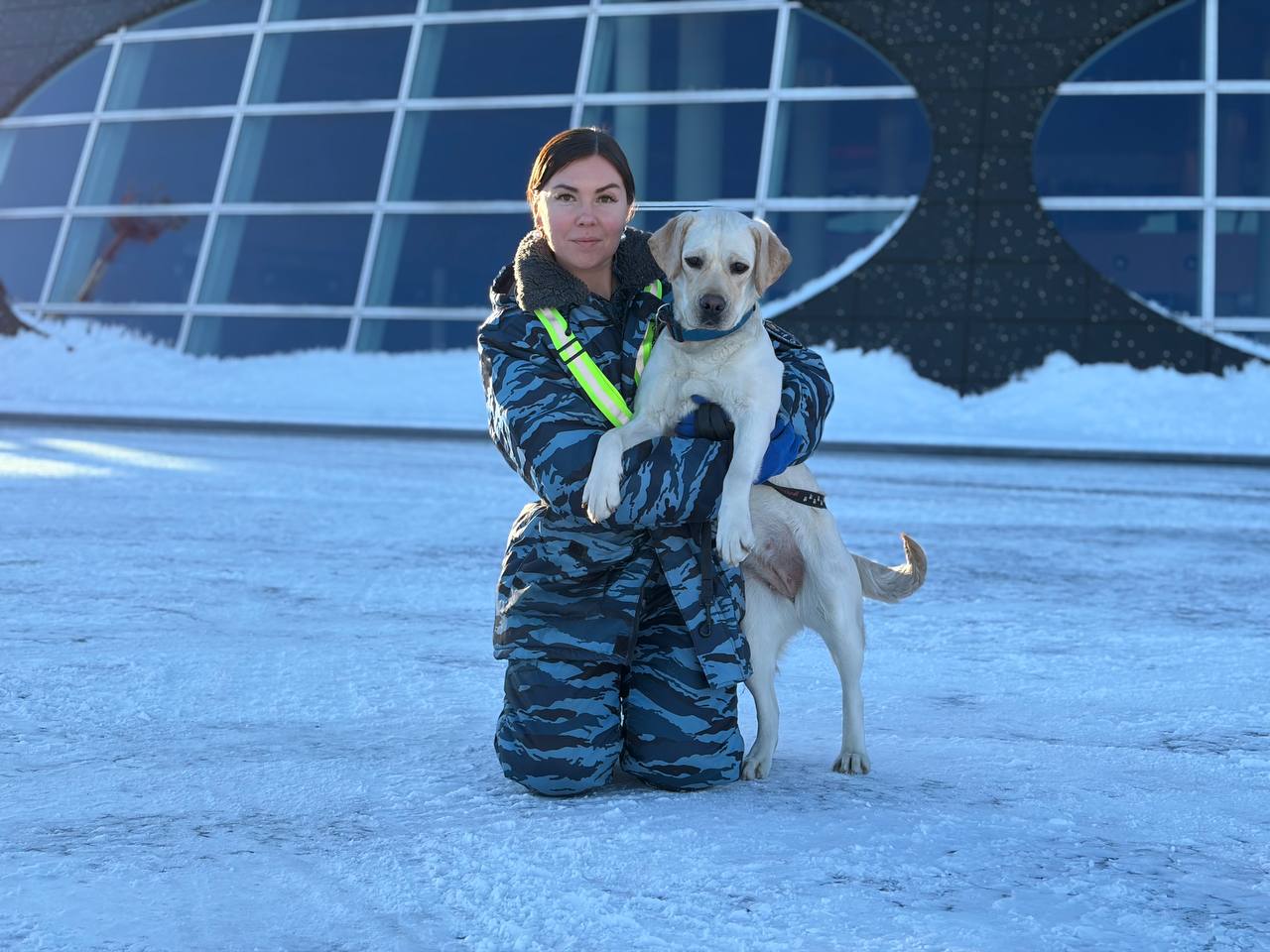 Охранять покой пассажиров главного камчатского аэропорта будет лабрадор-ретривер Спарта Охранять покой пассажиров главного камчатского аэропорта будет лабрадор-ретривер Спарта