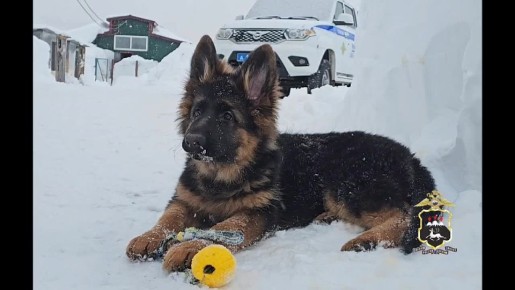 � �������������� ������ ������� �������� ����������