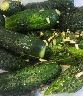 ���������� ������ ���������� � ��������