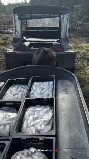 �� �������� ����� ������ ������������ �������