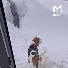 +100 ������ ������������ � ��������� �� ��������, ��� ��� ��� ������ ������ ������� �����������