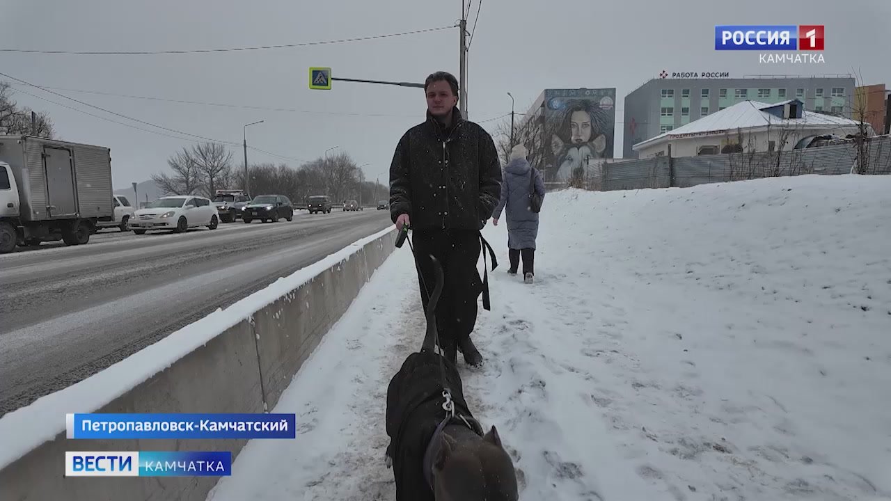 Баланс между правами владельцев собак и тех, кто животных не имеет - одна из самых острых тем в городах