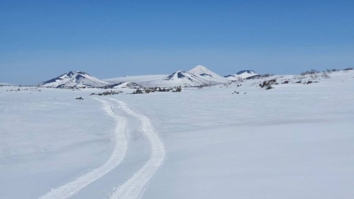 �������� ������ ���������� ������������ ����� ���� ������� ����������������