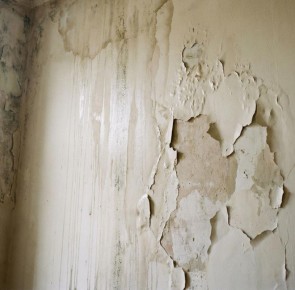 ��������� ������� ��������� ��������� ���� �� ����� ��������� ���� ������� ���������� ����