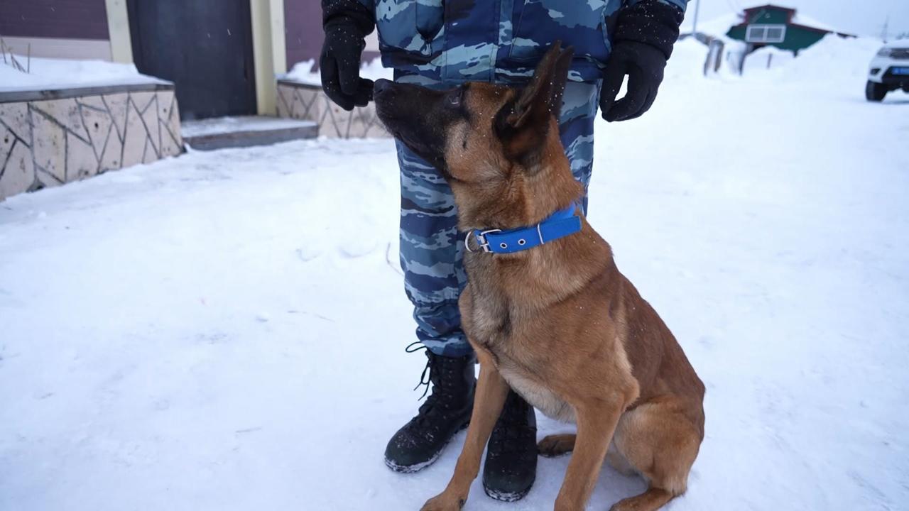 Культурно-развлекательные мероприятия для детей участников СВО станут регулярными на Камчатке Культурно-развлекательные мероприятия для детей участников СВО станут регулярными на Камчатке