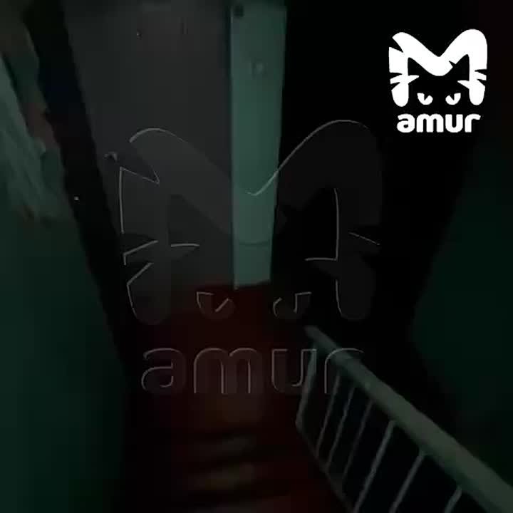 Так выглядят легендарные камчатские сугробы высотой в два этажа