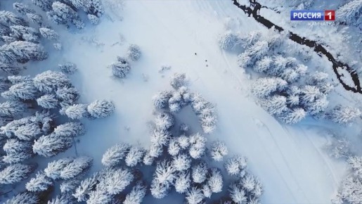 ����� ��������� ���� ������ ������, � �����, 14 ������?