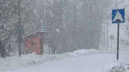 �������� �� ����� �� ����� � ��������������-����������