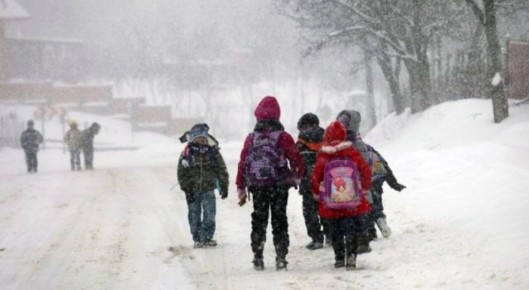 14 января отменяются занятия во всех школах, колледжах и техникумах, учреждениях дополнительного образования, а также в образовательных организациях, подведомственных министерству образования Камчатского края в...