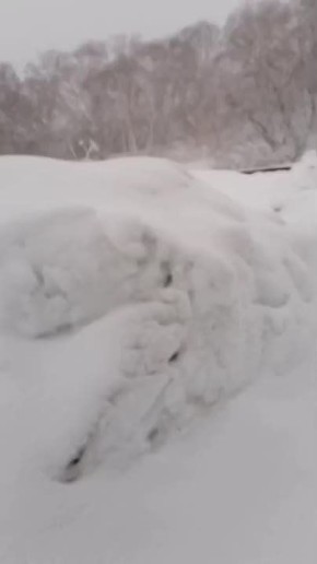 ������������� ������ �������� ������� �������� �� �������� �����