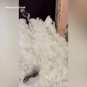 ������� �� ������� �����: ������ �������� ���� �������, ����� ����� �� ����