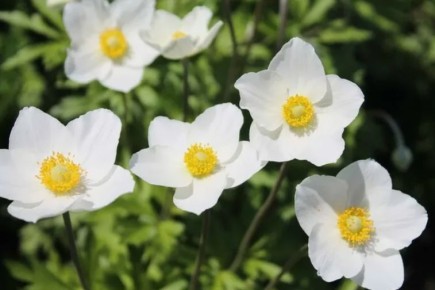 �����, ������� �������� �������� ������� � ���������� �������� ���������