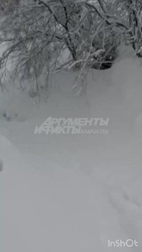 ���� ������ ��� ������!�. ������ ���� 36 �� ����� ��������� ����� ����� ���� �������������