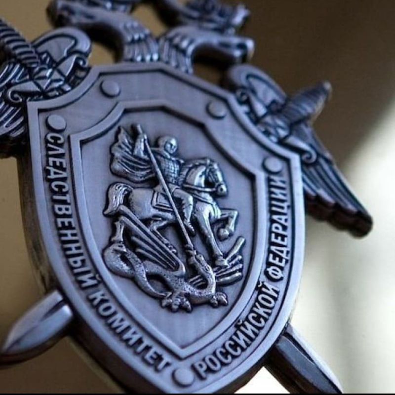 Следователями территориального подразделения регионального ведомства СК России возбуждено уголовное дело по факту смерти мужчины в результате падения снежной массы