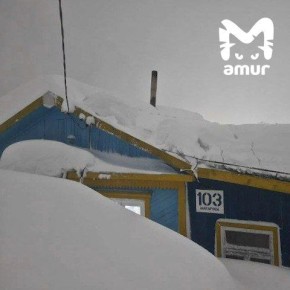 ������� �������� �������� �������� ������ � ��������������-����������