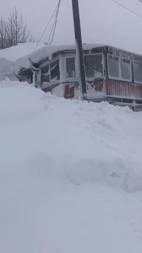 � ���� ����������� �������� ������������ �����, ������ �������������� ������������ �������� �������