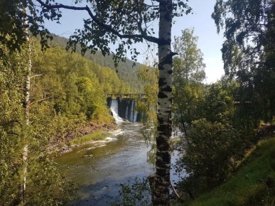 ������� �� �������: ������� ��� ������������?