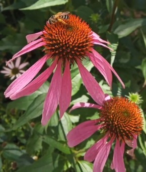 ��������� ��� 2026: ��� �������� ����� ���������� � ����� ������