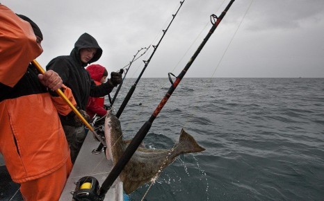 �������������� �������� ����������� �������� �� ������������� ����� ���� ������ ������ �����������