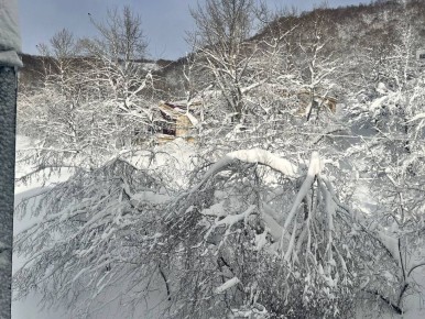 �������������, �� �� ���� �������