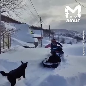 ���������� ��������� �� ���������� ��������� �� �������� � ����������