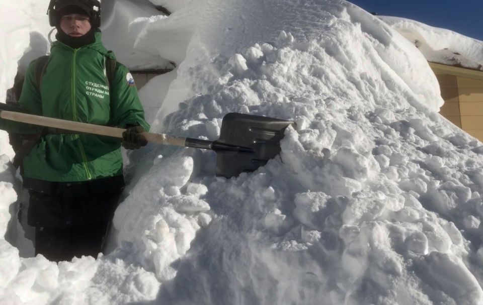 Камчатская молодежь из Российских студенческих отрядов помогает справляться со снежной стихией не только местным жителям, но и братьям нашим меньшим