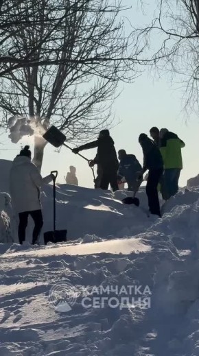 ������ ������ �����: ������ ���������, 21, ������������ ��� ������������