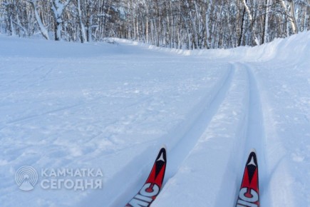 �������� � �����!. ������ ������: