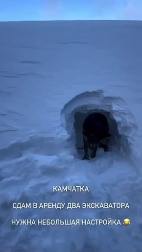 ������ � ������ ��� �����������