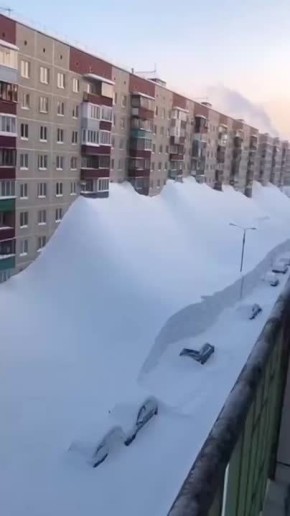 ������� �� 5-�� �����. ��������: ����������