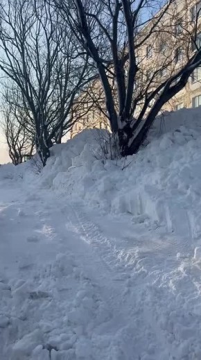 ����������� ������� �� ����� �� ���������, 21 (����� ���)