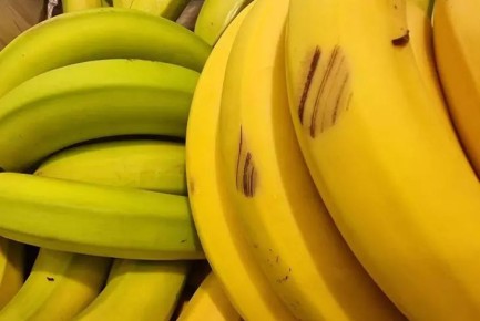 7 ����������� �������� ��������� ������ ������� �������: �������� ��� ������ �����