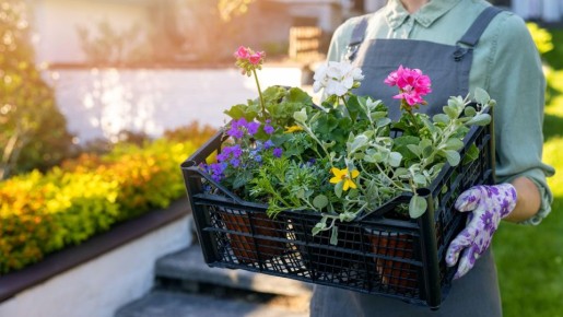 ����������� ������ �� ���������: ��� �������� � ���� ������ ���� �����