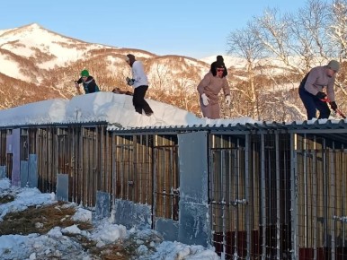 �������� ����������� ������ ���� ������ ����� ���������� �� ������ � ������ �����