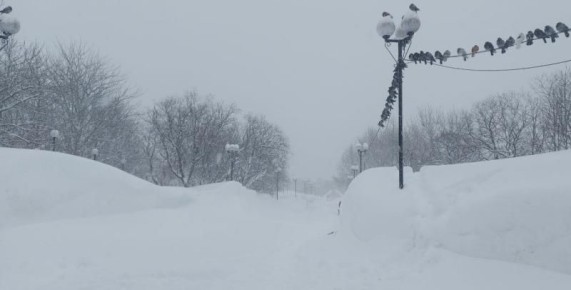 �� �������� ���� ���� ������� 50-������ ��������