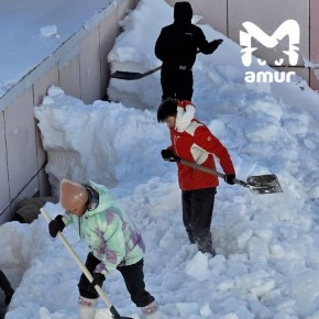 ������������� � �������� ����������� ����������� ���� ���������� ������ �� ����������� ��������