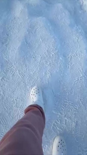 ����� �������� �������� ����������� ������ � ������ �����