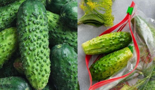 ��� ��������� ������� ������: ������ ���������