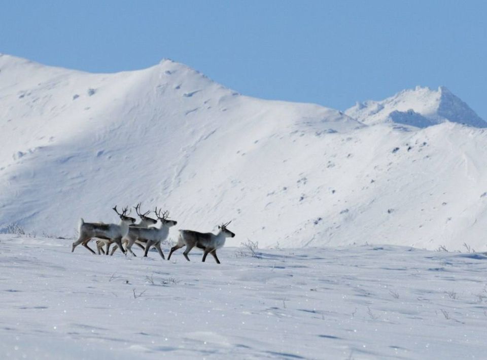 ������� � ������������ �������� �� ���� ������ ������ �������� ������