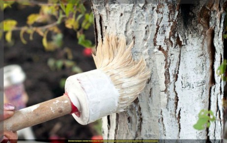 ��� ��������� ������ �������: ������� ��������� ������� ��� ��������� ����