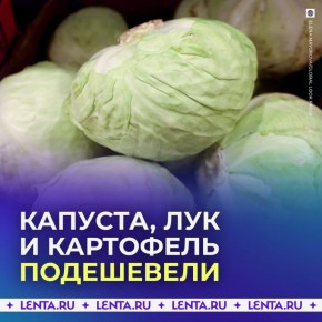 ������� ��. �������, ��� � ��������� ����������