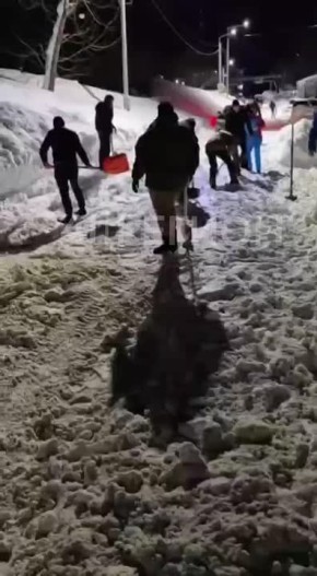 �������� ��������� ����������� �� ���